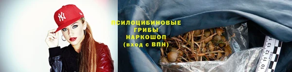 MESCALINE Белокуриха
